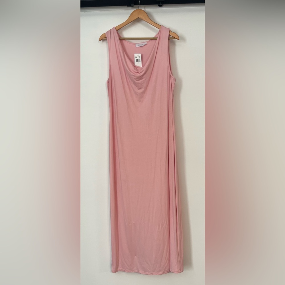NWT Pink Maxi Dress
